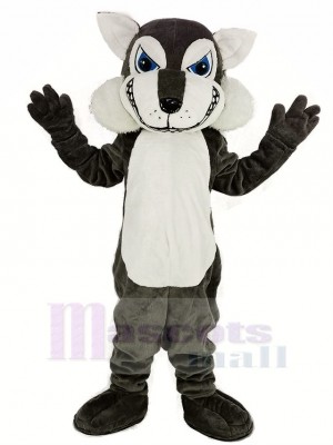 Dunkel Grau Wolf Maskottchen Kostüm Tier