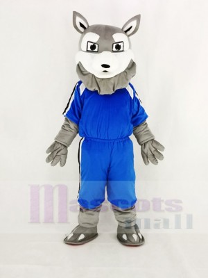 Leistung Grau Heiser Hund im Blau Maskottchen Kostüm Karikatur