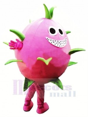 Drachen Obst Pitaya Maskottchen Kostüm Karikatur