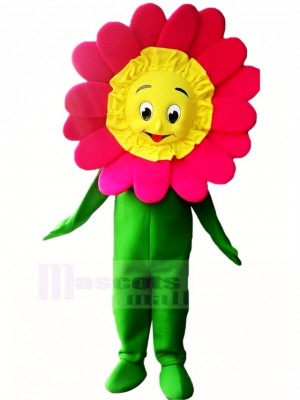 Hoch Qualität Sonnenblume Maskottchen Kostüm Karikatur