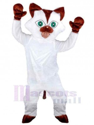 Katze maskottchen kostüm
