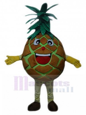 Ananas maskottchen kostüm