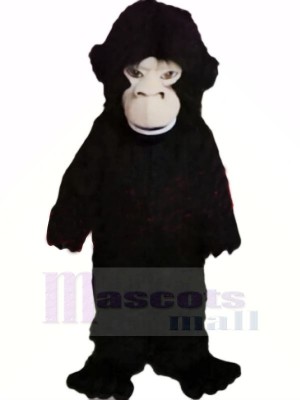 Heftig Schwarz Gorilla Maskottchen Kostüme Billig