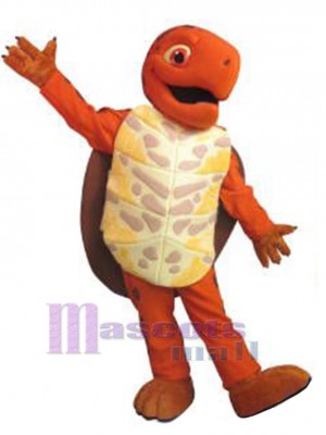 Schildkröte maskottchen kostüm