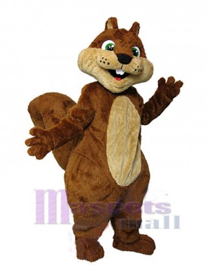 Eichhörnchen maskottchen kostüm