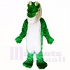 Grün Krokodil Leicht Maskottchen Kostüme Erwachsene