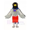 Hispanolan Trogon Vogel Maskottchen Kostüme Tier