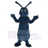 Käfer maskottchen kostüm
