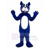 Blau Boston Terrier Hund Maskottchen Kostüm Tier