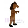 Pony Pferd maskottchen kostüm