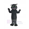 Schwarz Panther mit Grün Augen Maskottchen Kostüm