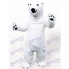 Eisbär Tier Maskottchen Kostüm