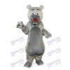Greymouth Bären Maskottchen erwachsenes Kostüm Tier