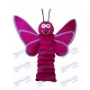 Lila Schmetterling Maskottchen Erwachsenen Kostüm Insekt