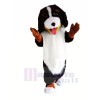 Süß Berner Berg Hund Maskottchen Kostüme Tier