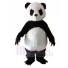 Panda mit Lange Wimpern Maskottchen Kostüme Tier