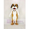 Braun Und Weiß Sankt Bernhard Hund Maskottchen Kostüm Karikatur