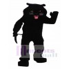 Schwarz Panther Maskottchen Kostüm