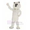 Niedlich Weiß Bär Maskottchen Kostüm Erwachsene