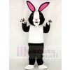 Schwarz und Weiß Hase mit Rosa Ohren Maskottchen Kostüm Schule