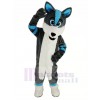 Blau und Grau Heiser Hund Fursuit Maskottchen Kostüm