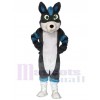 Grauer und Blauer Husky Hund Fursuit Maskottchen Kostüme Tier
