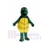 Kleine grüne Schildkröte Maskottchen Kostüme