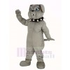 Grau Bulldogge Maskottchen Kostüm