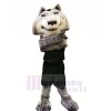 Hochschule Sport Wolf Maskottchen Kostüme Karikatur