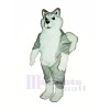 Weiß und Grau Wolf Maskottchen Kostüme Karikatur
