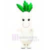 Weiß Rettich Gemüse Maskottchen Kostüm Karikatur
