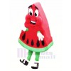 Hoch Qualität Wassermelone Maskottchen Kostüm Karikatur