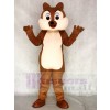 Lustiges Kostüm Tier der Eichhörnchen Jungen Maskottchen
