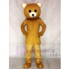 Braun Teddybär Maskottchen Kostüme Tier