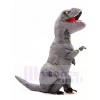 Graue T-REX Dinosaurier aufblasbare Halloween Weihnachts kostüme für Kinder