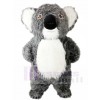 Graues Koala Bär Maskottchen Kostüme Tier