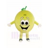 Glückliche Zitronen Kalk Maskottchen Kostüme Frucht Anlage