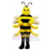 Königliches Bienen Maskottchen Kostüm