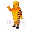 Netter Tiger mit Turnschuhen Maskottchen Kostüm