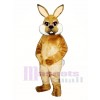 Nettes Ostern Braun Hase Kaninchen Maskottchen Kostüm Tier