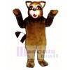 Roxie Waschbär Maskottchen Kostüm Tier