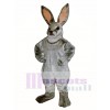 Ostern Jack Hase Kaninchen Maskottchen Kostüm