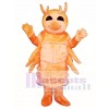 Niedlich Shrimp Maskottchen Kostüm Tier