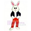 Ostern Hase-Häschen Kaninchen Maskottchen Kostüm