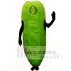 Dill Pickle Maskottchen Kostüm Gemüse