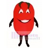 Großes Tomaten Maskottchen Kostüm