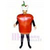 Apple Maskottchen Kostüm Pflanze