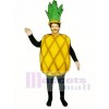 Ananas Maskottchen Kostüm Obst