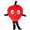 roter Apfel Maskottchen Kostüme Pflanze Obst