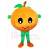 Baby Orange Maskottchen Kostüme Obst Pflanze